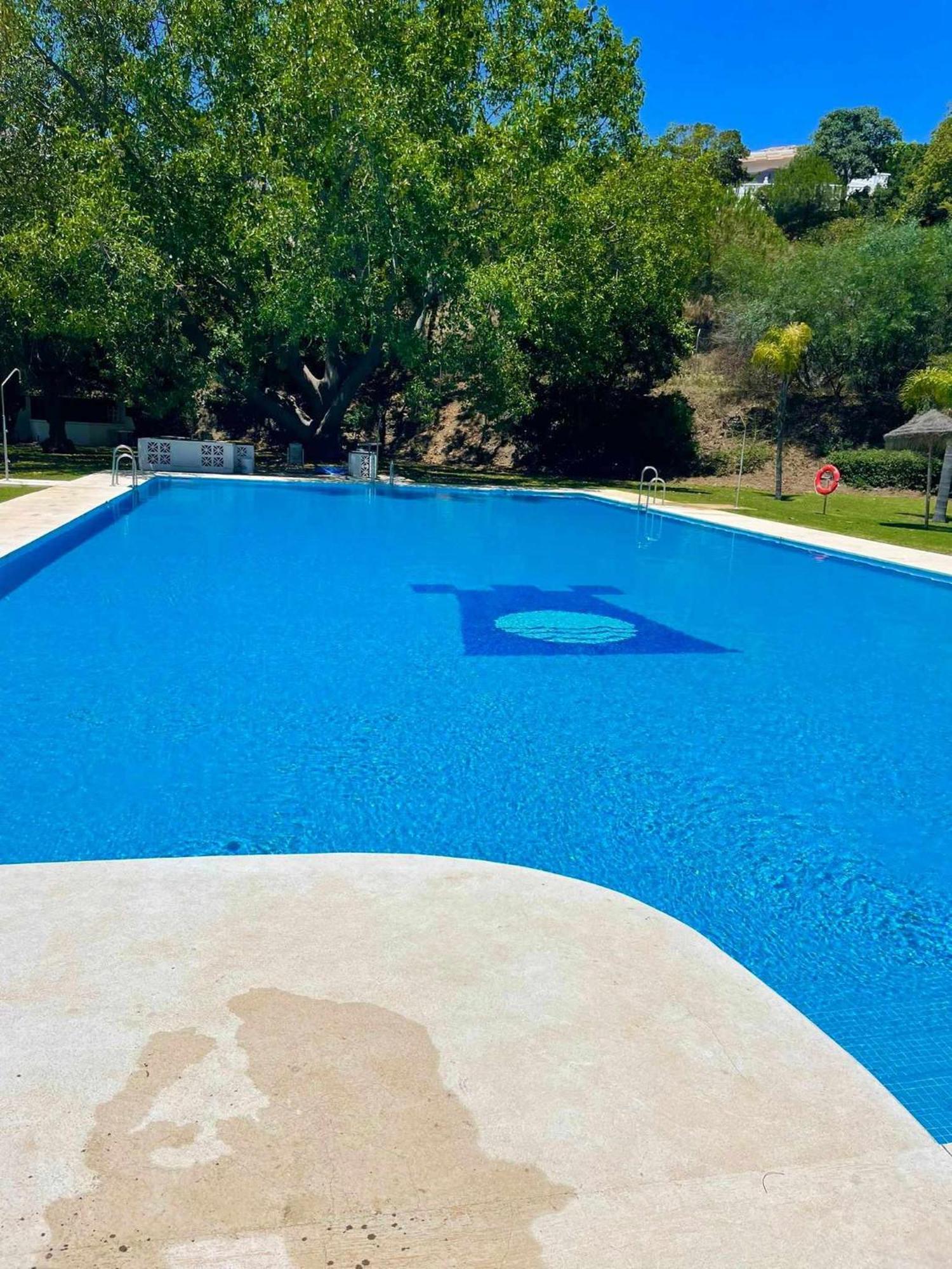 VillaEscondidaPrecioso estudio con vista al mar y piscina Málaga Exterior foto